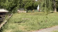 Новости » Общество: На Вокзальном шоссе газоны приводят в порядок