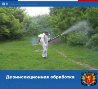 Новости » Экология: В двух парках Керчи будут травить клопов