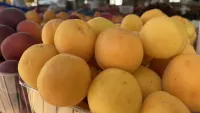 Новости » Общество: Сезонную вкуснятину продают в Керчи