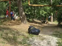Несмотря ни на какие обстоятельства УК Керчи должны косить траву - Кошель