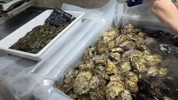 В рыбном корпусе на центральном рынке в Керчи было так