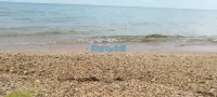 В Крыму до пятницы сохранится умеренно-жаркая и сухая погода