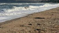 Новости » Общество: Жара в Крыму на следующей неделе отступит
