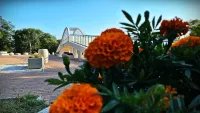 Новости » Общество: Знойный день в Комсомольском парке
