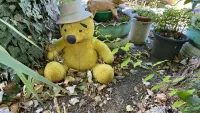 Новости » Общество: Винни Пух и все-все-все: керчане украсили палисадник плюшевыми игрушками