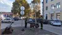 Новости » Общество: Стволы памятных орудий развернули в обратную сторону