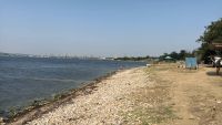 Новости » Общество: Зону отдыха «Сморжевского» приводят в порядок