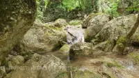 Новости » Экология: Сентябрьские дожди не добавили воды Крыму