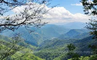 Новости » Экология: Крымские леса вновь открыли для туристов
