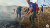 В Крыму более тысячи волонтеров помогали тушить природные пожары в течение года