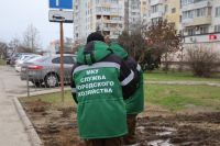 Новости » Общество: В Керчи устанавливают ограждения против незаконной парковки