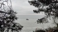 Новости » Экология: Что нельзя ловить в Чёрном море летом: в Крыму ввели сезонный запрет