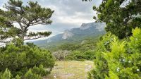 В Крыму снят запрет на посещение заповедников