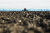 Новости » Экономика: В Республике Крым аграрии приступили к севу озимых культур